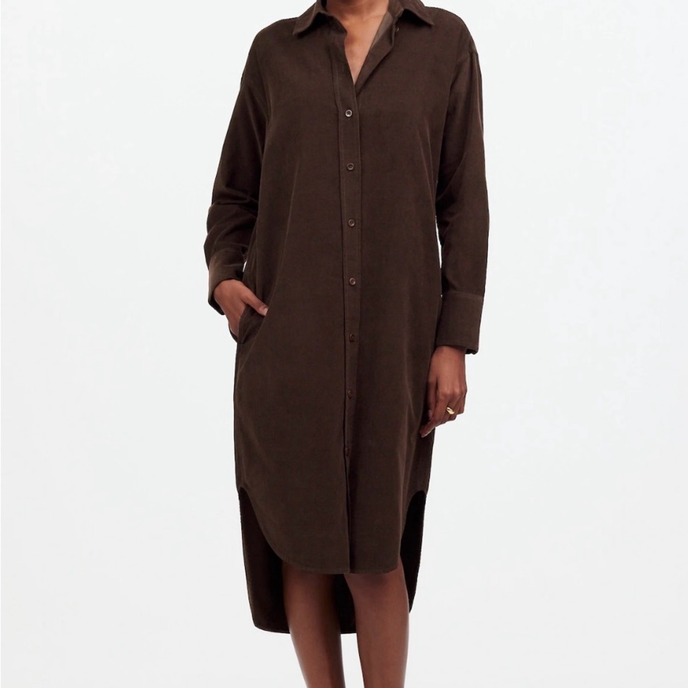 Madewell Chocolate Brown Button-Up Dress